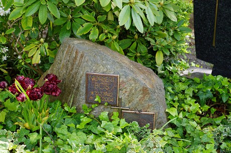 Bad Godesberg
